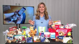 Pet Parenting | Dr. Katy Nelson | Daily Flash