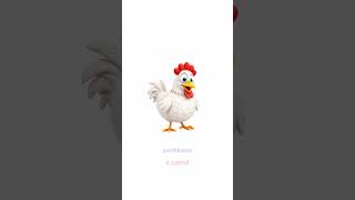 Finnish chicken. Kana. Learning Finnish is fun.