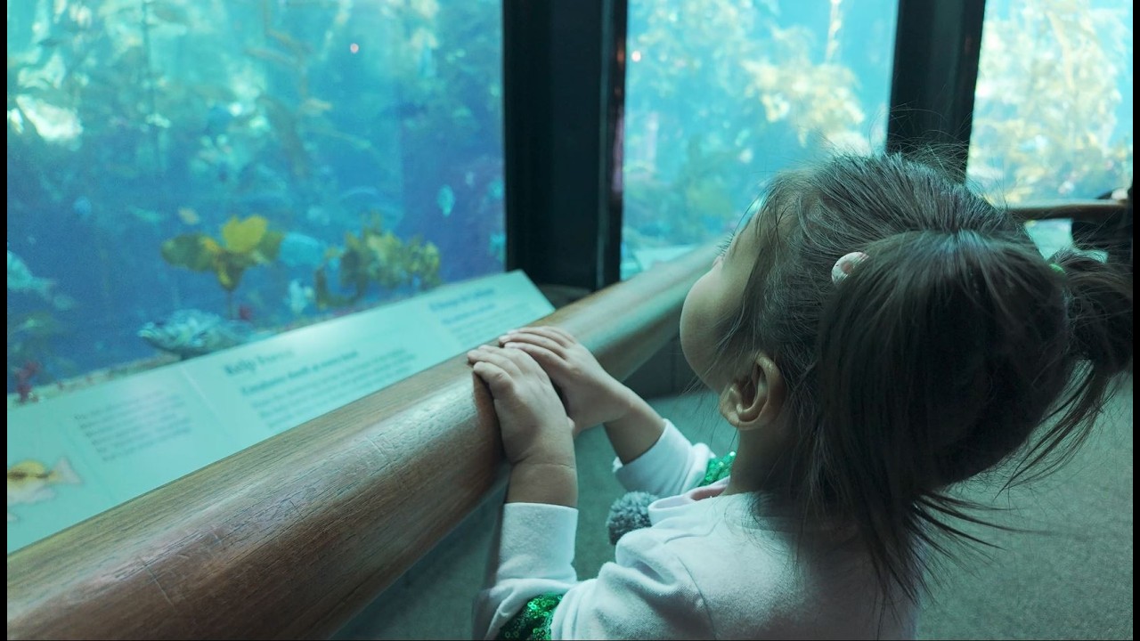 Monterey Bay Aquarium 2026