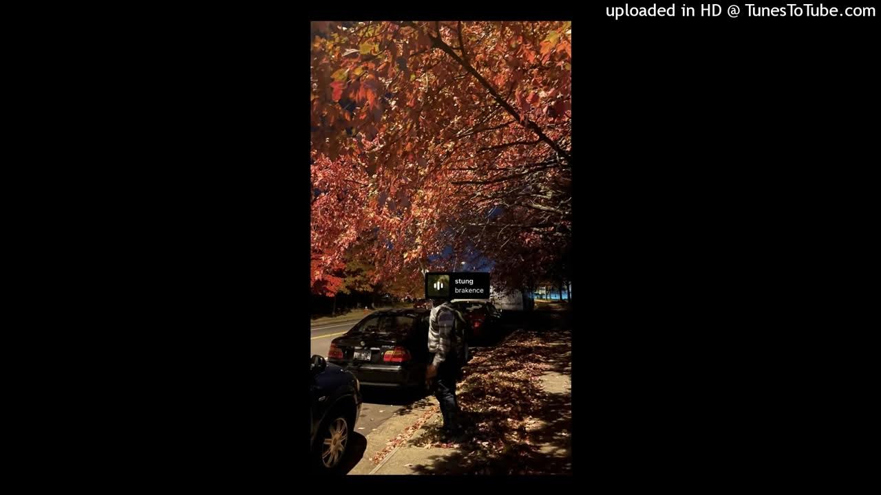stung sped up brakence YouTube
