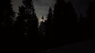 Naruto OST 3: Oh Student And Teacher Affection Mit Pitch Shift + Reverb