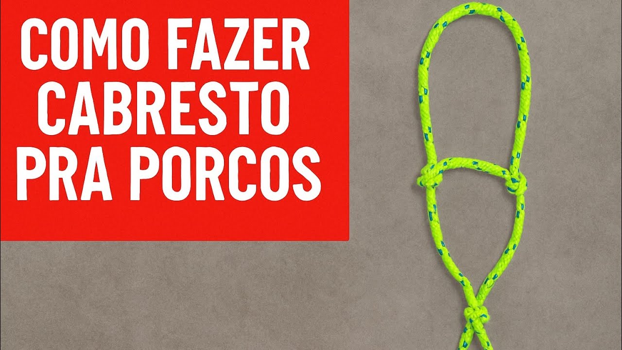 Aprenda a fazer esse cabresto bem rápido