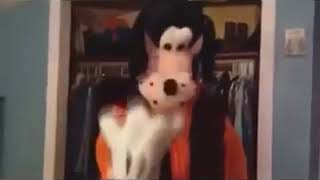 goofy-wake-me-up-vine