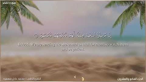 المصحف المرتل 📖 | تلاوات خاشعة ✨| ما تيسر من سورة القمر للقارئ الطبيب محمد عادل مسعود💛💫