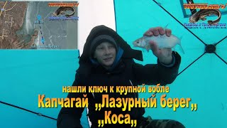 Казахстан, шикарная рыбалка на Капчагае. Жирная вобла! 03.03.24