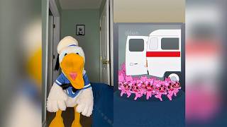 Donald Ducc REACTS To ANIMAL HOSPITAL TikToks! 5