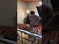 エルクンバンチェロをマリンバとピアノで弾いてみた #shorts