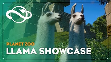 Planet Zoo | Llama Showcase