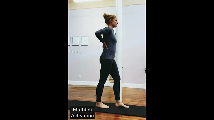 Multifidi Staggered Stance Weight Shifts