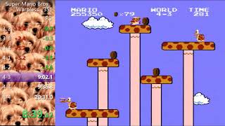 Super Mario Bros - Warpless 20:16