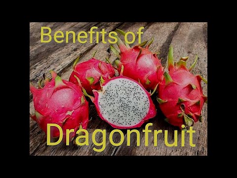 7 Great Reasons to add Dragon Fruit to your Diet