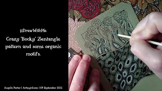 #DrawWithMe - Crazy "Bucky" #Zentangle pattern and some organic motifs.