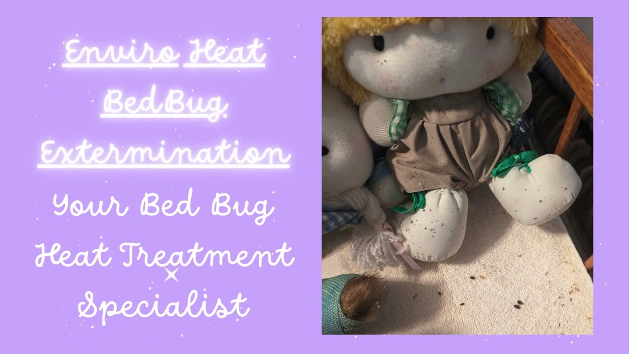 Enviro Heat BedBug Extermination. Your bed bug specialists!