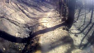 Single Track de Vasconha