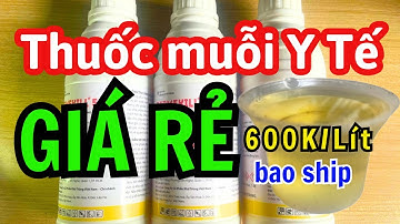 Thuốc Diệt Muỗi Y Tế An Toàn Hiệu Quả Phun Xịt Muỗi Gián Ruồi Kiến Permekill 50EC