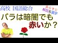 【答：赤くない！】バラは暗闇でも赤いか？【高校国語】教科書あらすじ&解説&漢字〈野矢茂樹〉