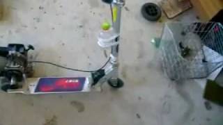 Homemade Goped Scooter