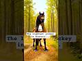 The Lightest Jockey's Dramatic Collapse#funny #shorts #3danimation #animation #owl #horse #cute
