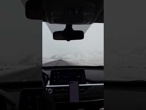 ЗАГРАНПАСПОРТ В КАЗАХСТАНЕ | реально получить или нет?! #переезд#загранпаспорт#казахстан#переезд🇺🇸