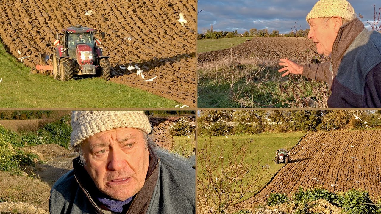 Parole d’ancien et histoire d’Italien. Pierre commente le labour de son petit-fils et se raconte