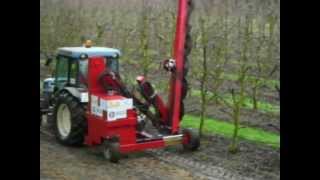 New Holland T4050F + Mechanical Pruning Machine