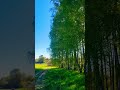 W moim świece jest inna prawda.