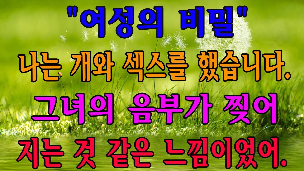 「외로움 끝에 만난 그림자」