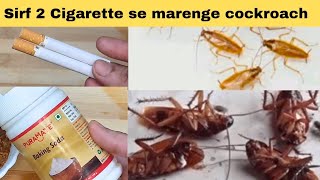 How to get rid of Cockroaches in your home with JUST 2 ingredients || Homemade cockroach killer