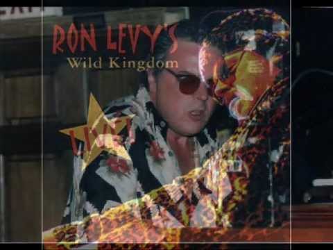 Ron Levy's Wild Kingdom Groovelatin' Acid Blues - YouTube