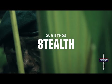Our Ethos - Stealth