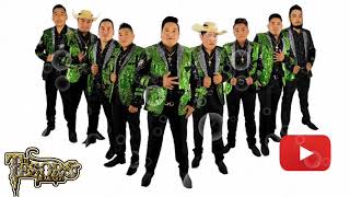 El Tesoro De México en vivo  **zapateados** tierra caliente