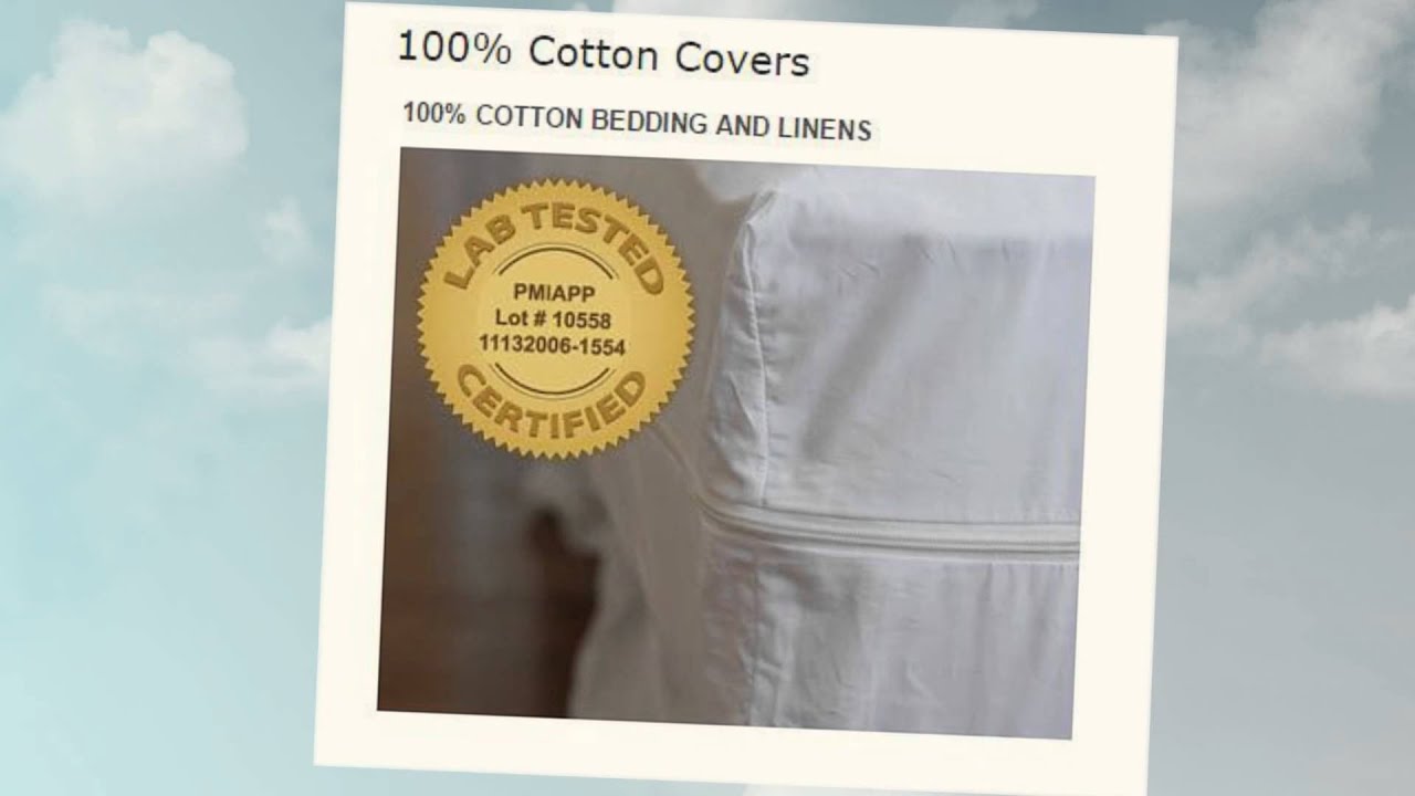 Bed Bug Mattress Covers Ottawa SleepClean 18777475402 YouTube