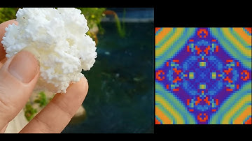Kaleidoscopic 3D Fractals From Continuous Cellular Automata