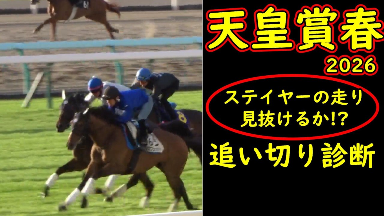 Tenno Sho Spring 2026 Training Analysis] Training reveals the true