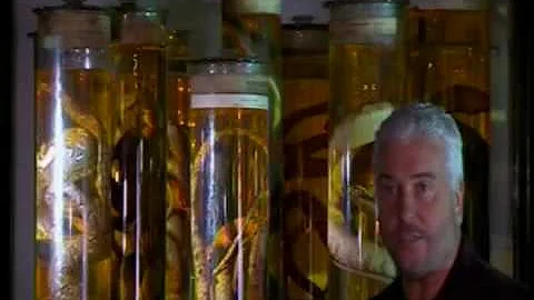 William Petersen: Grissom's Best  Episodes Intro