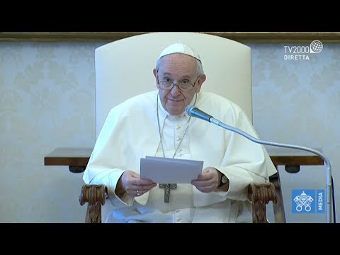 Papa Francesco, Udienza