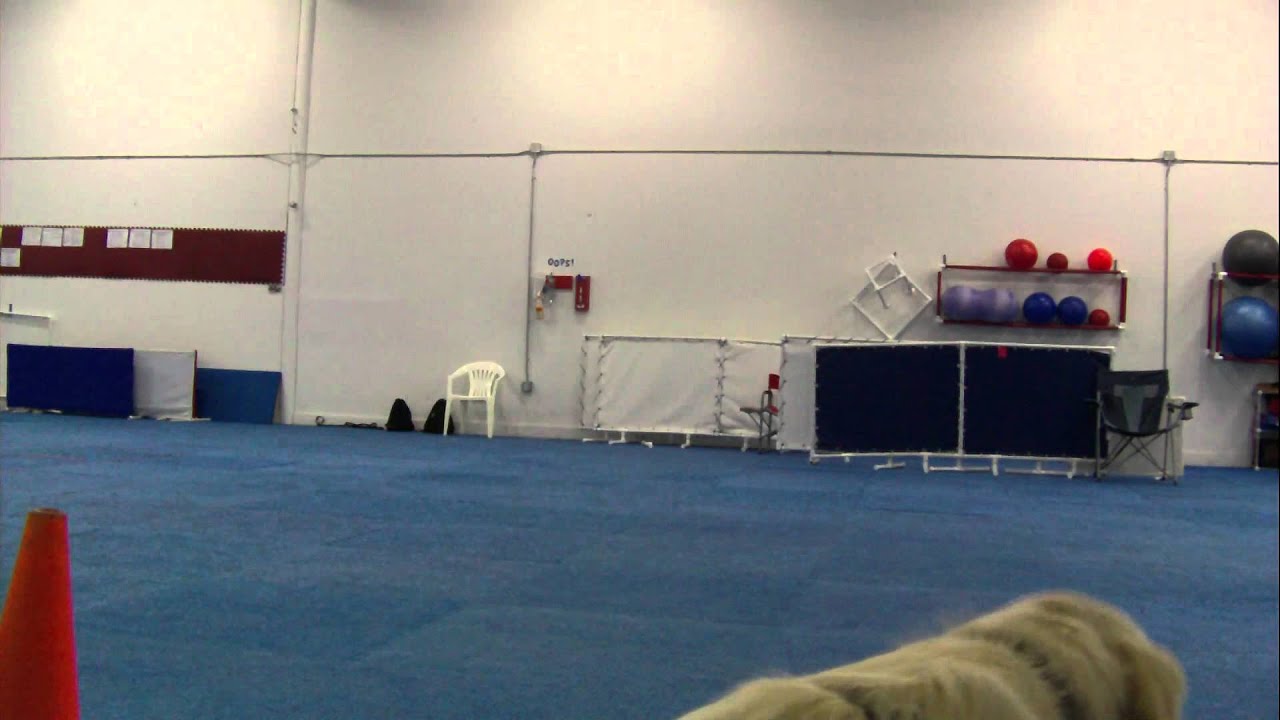 07022012 Chestnut Head Dip 2