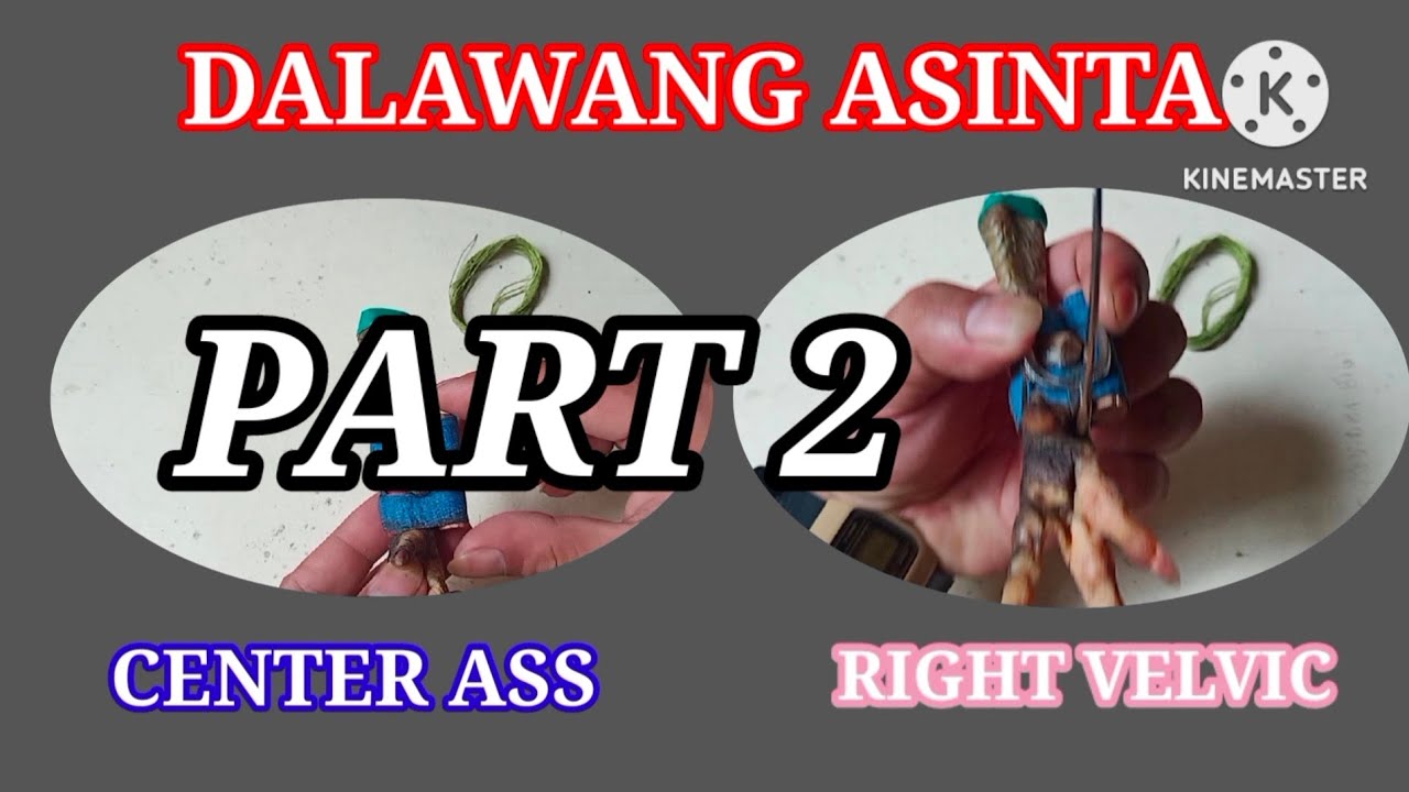 THE TWO WAY OF SIGHT.(PART 2)#CHARDKABALBONTV