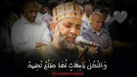 " سورة الحجرات وسورة ق " صوت خاشع 💛🌼 الشيخ حسن صالح