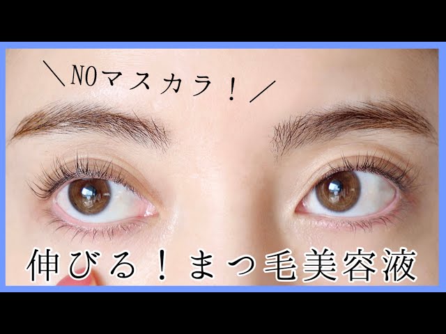 検証 マツエクに見える 最強まつ毛美容液で育毛してみた Litetube 検証 マツエクに見える 最強まつ毛美容液で育毛してみた Litetube