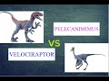 Dinosaurs Battle 77: VELOCIRAPTOR vs PELECANIMIMUS II Game Jurassic Worl...