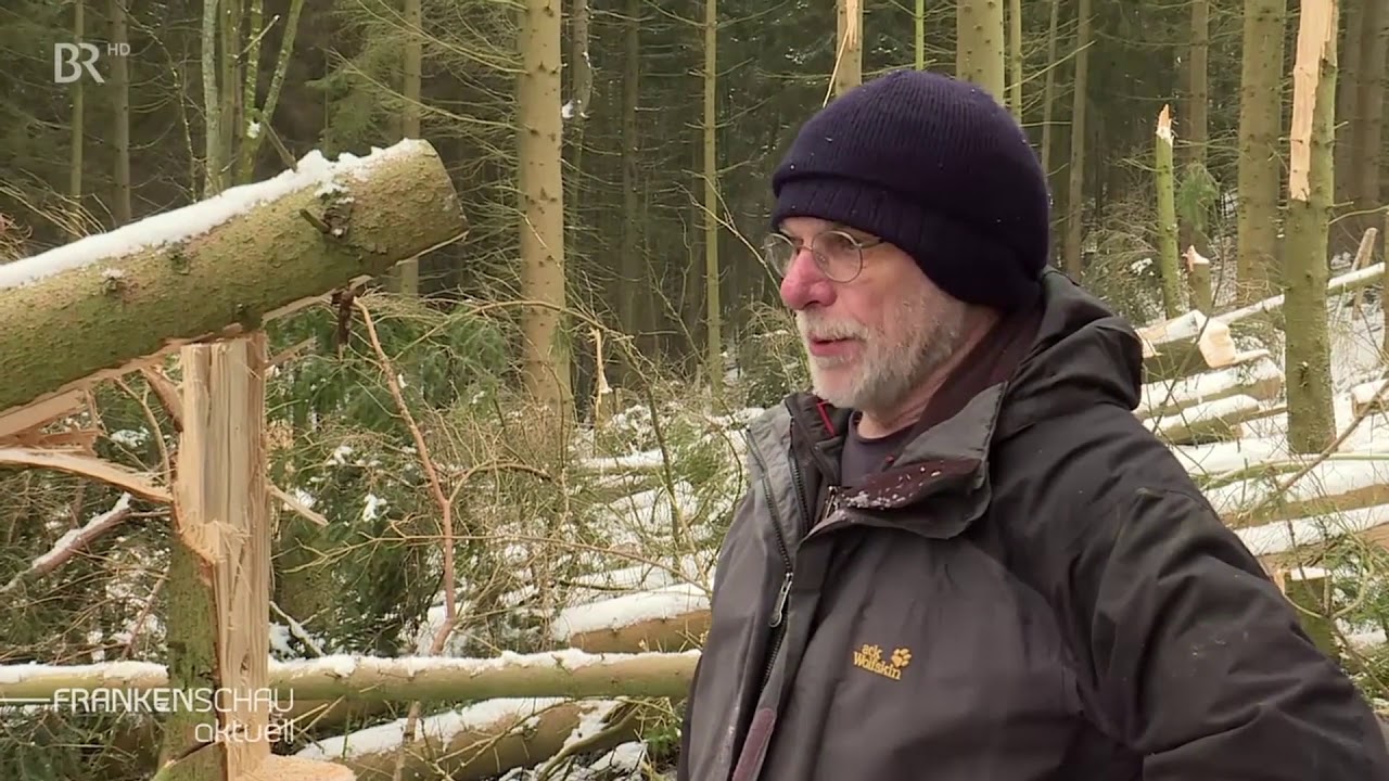 Unbekannter Täter sägt Bäume im unterfränkischen Wildflecken an | BR24