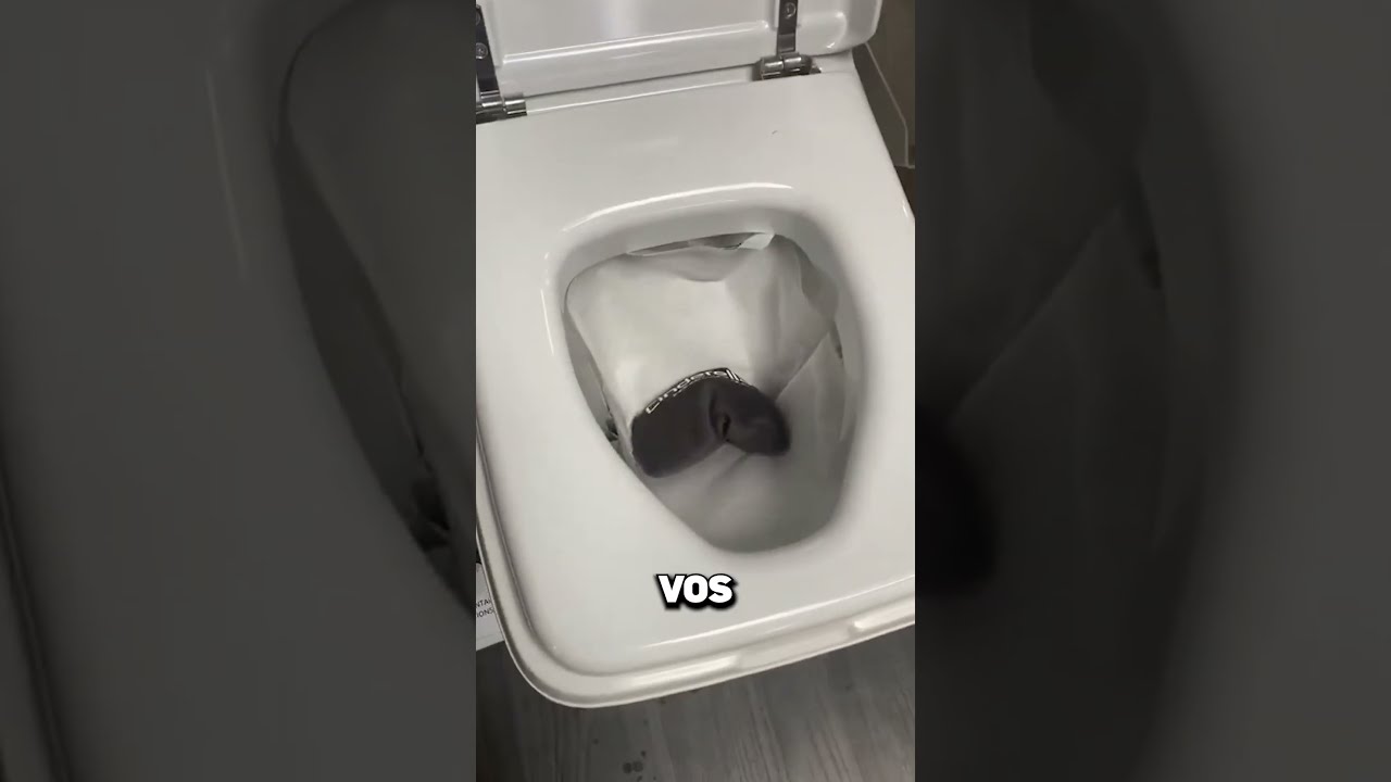 Ne Plonge Jamais Ta T Te Dans Ces Toilettes En Feu 