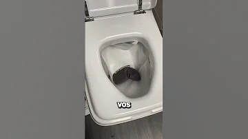 Ne Plonge Jamais Ta Tête Dans Ces Toilettes En Feu 