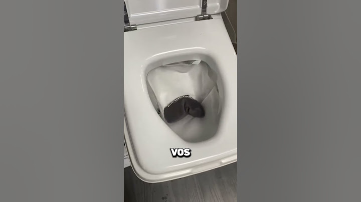 Ne plonge jamais ta tête dans ces toilettes en feu ! 🔥🚽😱