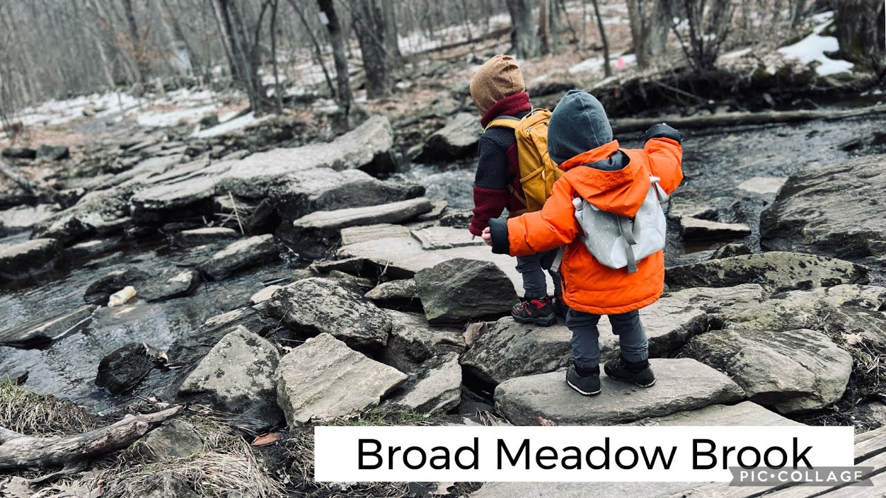 Broad Meadows Brook- Worcester, MA