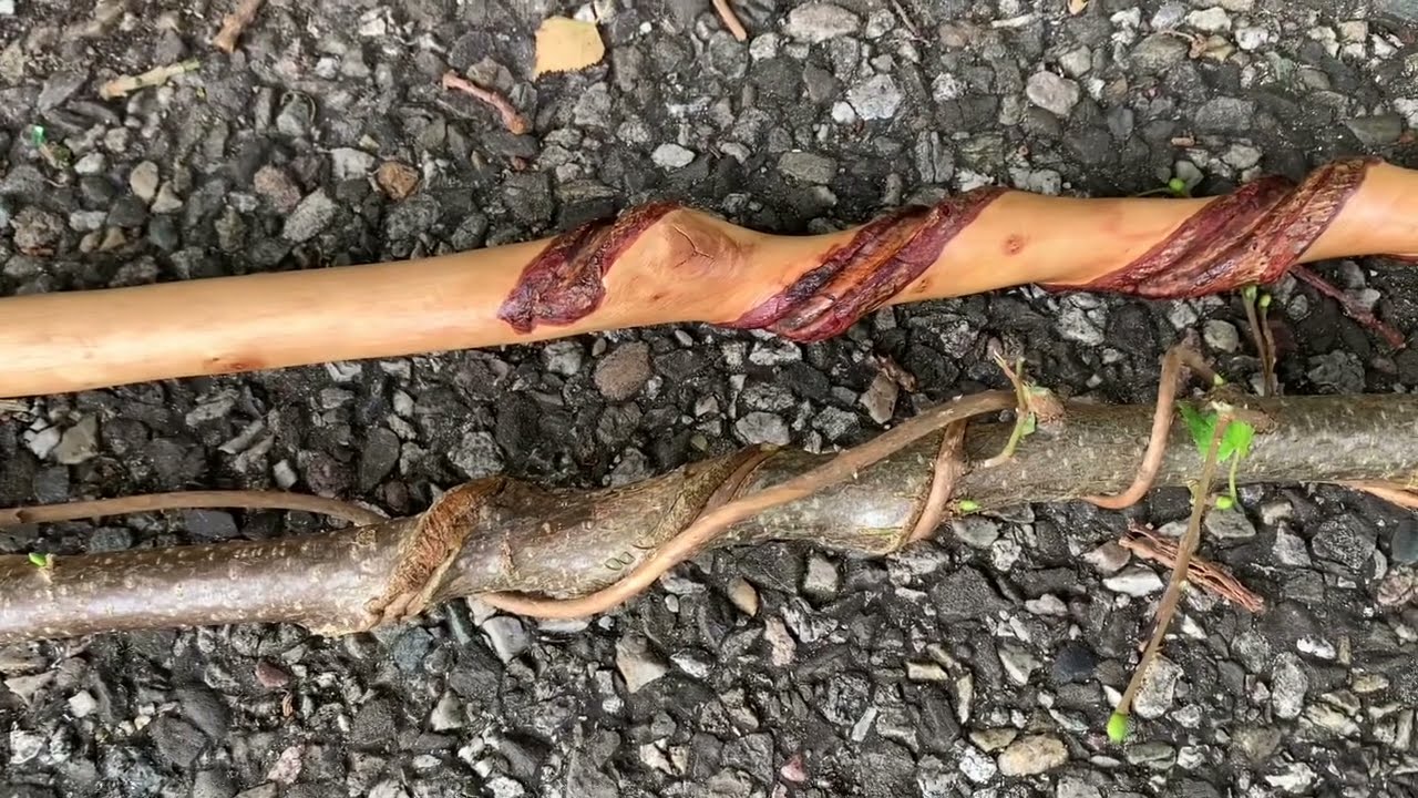 Een Goastok maken ( een wandelstok maken )