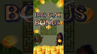 Big Cat Bonus