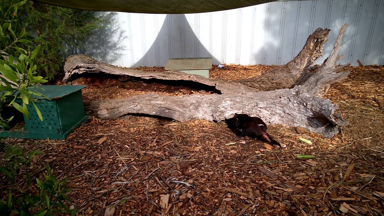 "Turha yrittää tänne tuolla naamalla"