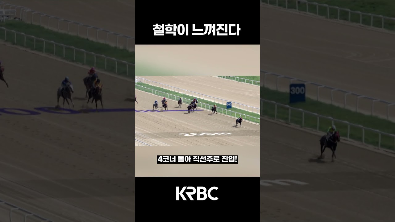 철학이 보이는 이유 #shorts #경마방송 #기수 #경주마 #경마 #KoreaHorseRacing